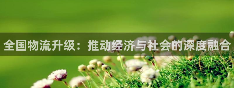 旺财28官网下载APP：全国物流升级