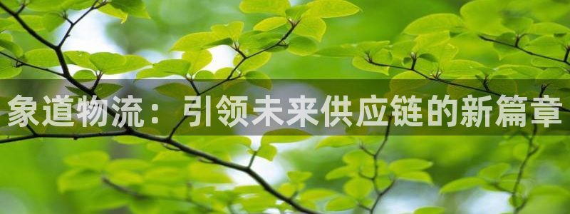旺财28合法吗：象道物流：引领未来供