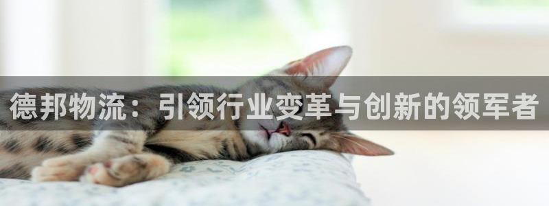 旺财28那个才是充值账号：德邦物流：