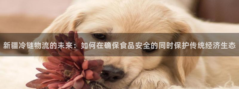旺财28注册网页版：新疆冷链物流的未