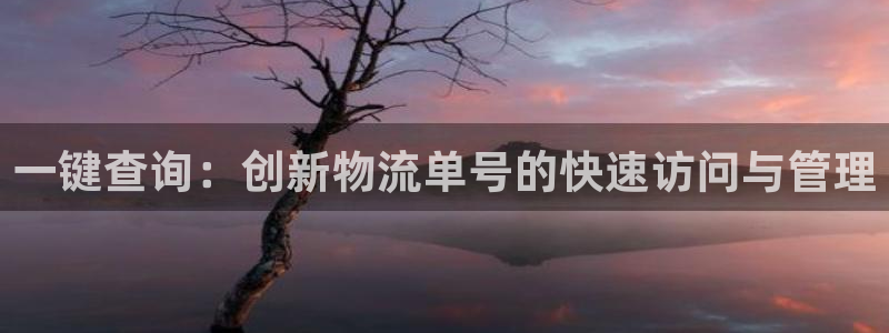 旺财28是干嘛的：一键查询：创新物流