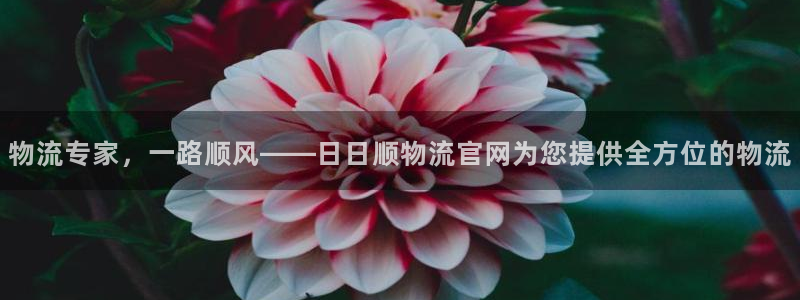 旺财28开奖预测：物流专家，一路顺风