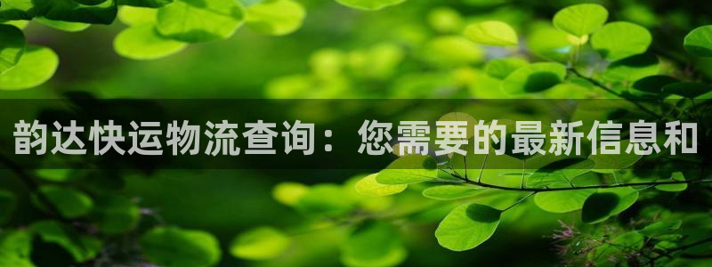 旺财28忘记账号：韵达快运物流查询：