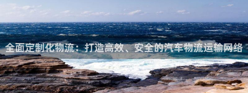旺财28官方平台：全面定制化物流：打