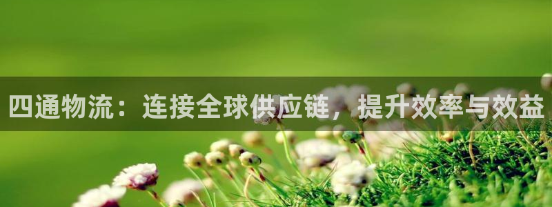 旺财28PG电子游戏：四通物流：连接
