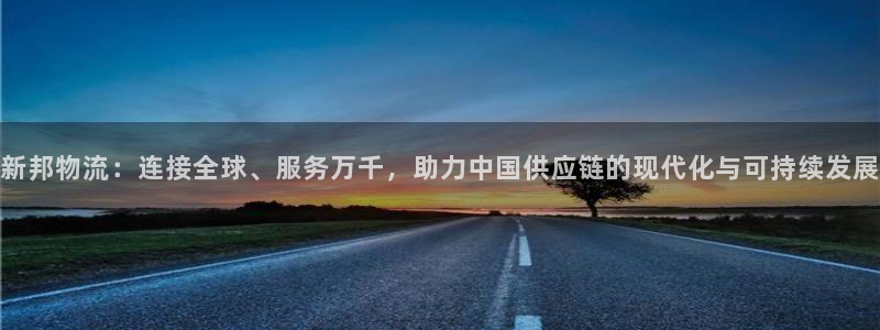旺财28比特28真实吗：新邦物流：连