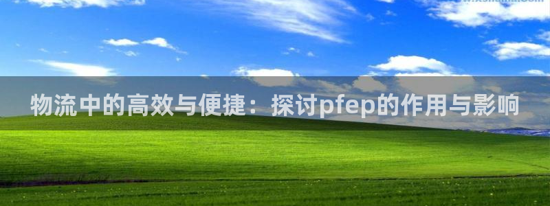 旺财28加拿大app预测
