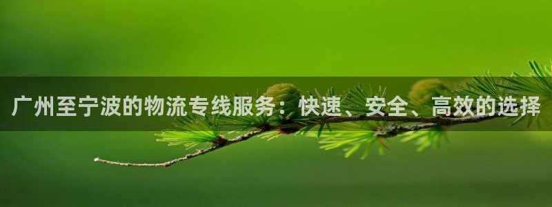 旺财28正规吗?
