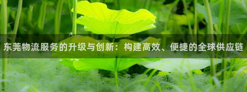 旺财28口内径是多大：东莞物流服务的