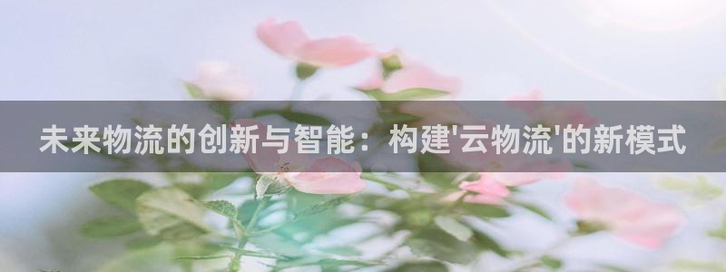 旺财28注册网页：未来物流的创新与智