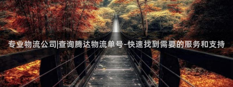 旺财28p图上分下款通道
