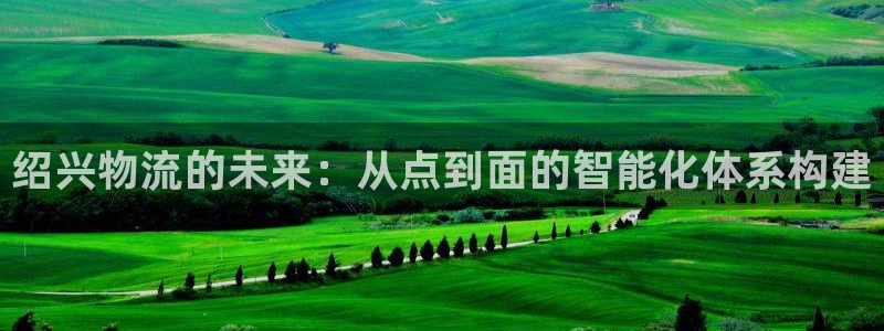 旺财28电子：绍兴物流的未来：从点到