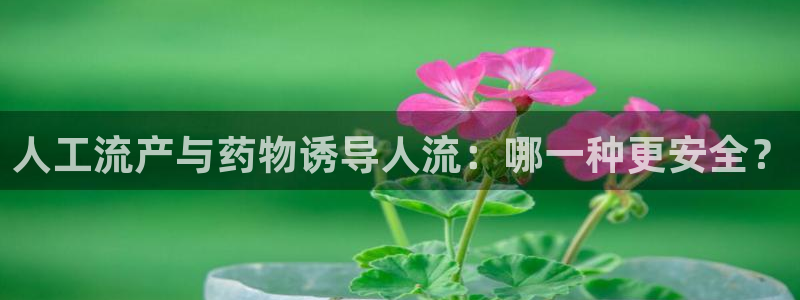 旺财28cn：人工流产与药物诱导人流