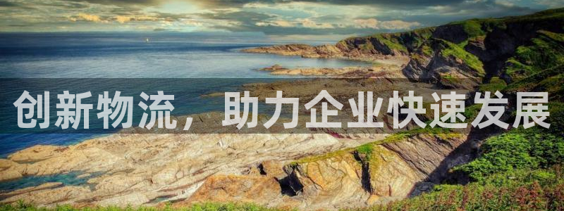 旺财28注册：创新物流，助力企业快速