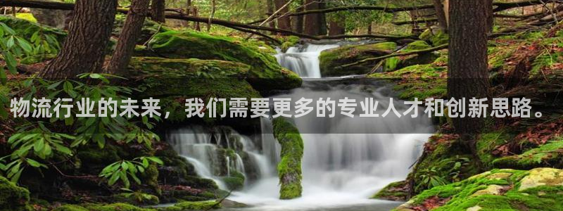 旺财28口戒指是多大:物流行业的未来