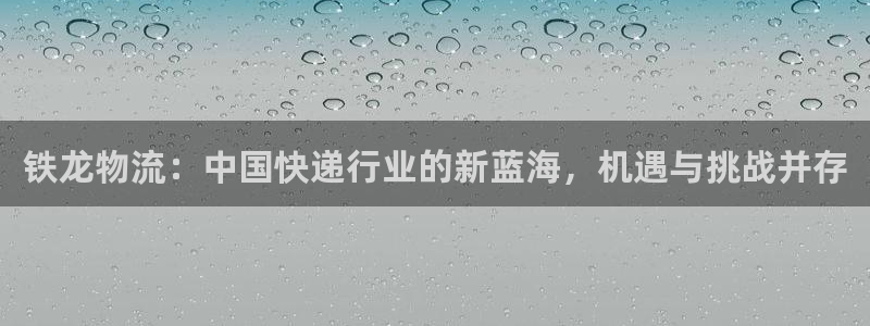 旺财28圈助手：铁龙物流：中国快递行