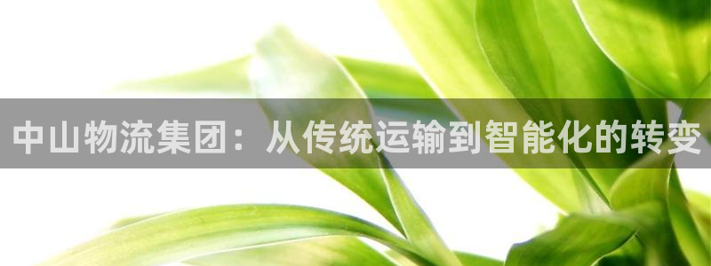 旺财28软件堵什么反什么：中山物流集