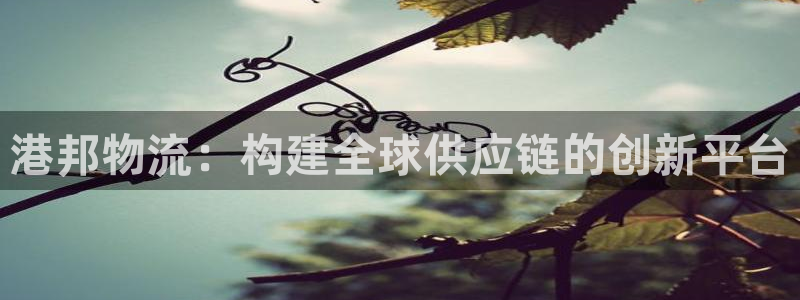 旺财28充值不到账怎么办：港邦物流：