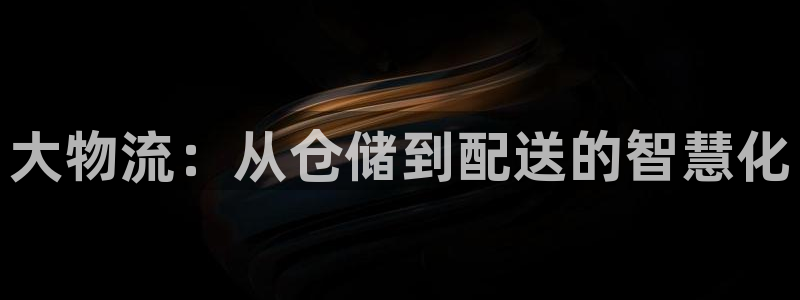旺财28官网入口南宫:大物流:从仓储