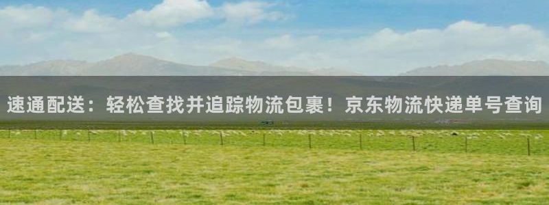 旺财28官网入口:速通配送:轻松查找