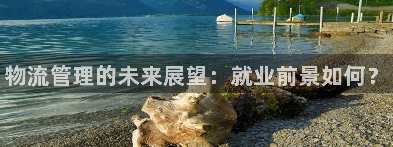 旺财28开奖预测：物流管理的未来展望：就业前景如何？