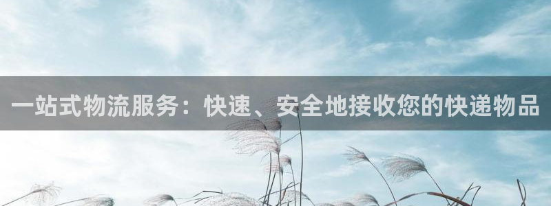 旺财28链官网:一站式物流服务:快速