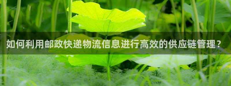 旺财28加拿大是什么意思:如何利用邮