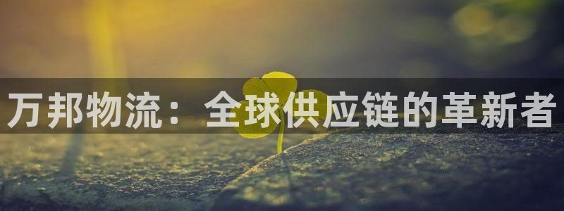 旺财28注册网页版