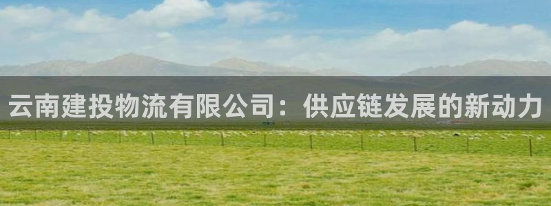 旺财28玩法