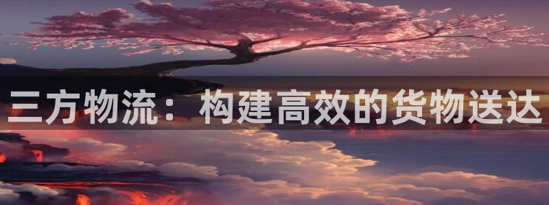 旺财28加拿大app预测