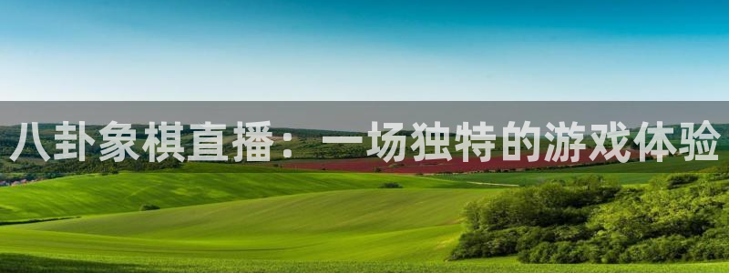 说球帝体育_足球_篮球直播：八卦象棋直播：一场独特的游戏体验
