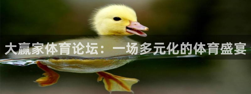 nba视频直播说球帝：大赢家体育论坛：一场多元化的体育盛宴