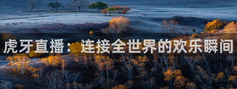 说球帝nba直播在线观看免费：虎牙直播：连接全世界的欢乐瞬间