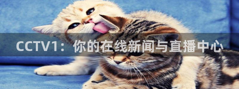 说球帝官网下载：CCTV1：你的在线新闻与直播中心