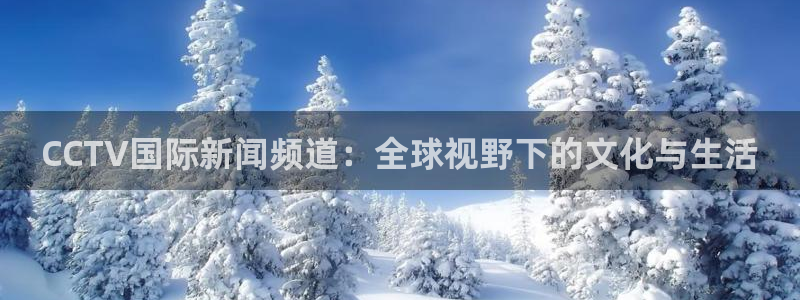 说球帝app：CCTV国际新闻频道：全球视野下的文化与生活