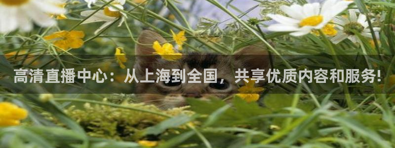 nba视频直播说球帝：高清直播中心：从上海到全国，共享优质内容和服务!