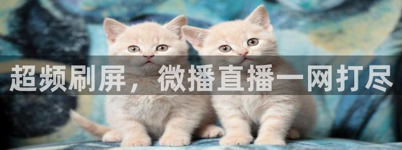 说球帝nba直播免费高清下载：超频刷屏，微播直播一网打尽