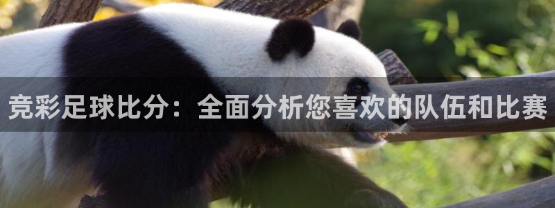 nba直播免费观看直播在线说球帝：竞彩足球比分：全面分析您喜欢的队伍和比赛