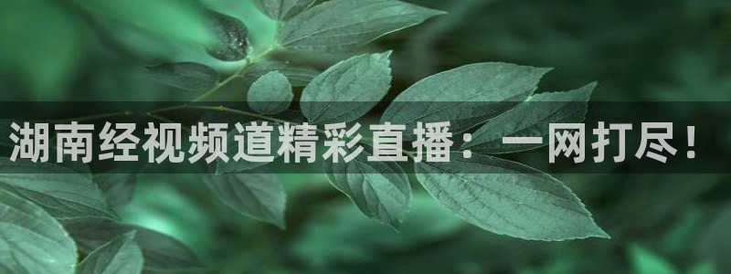 nba直播在线观看说球帝：湖南经视频道精彩直播：一网打尽！